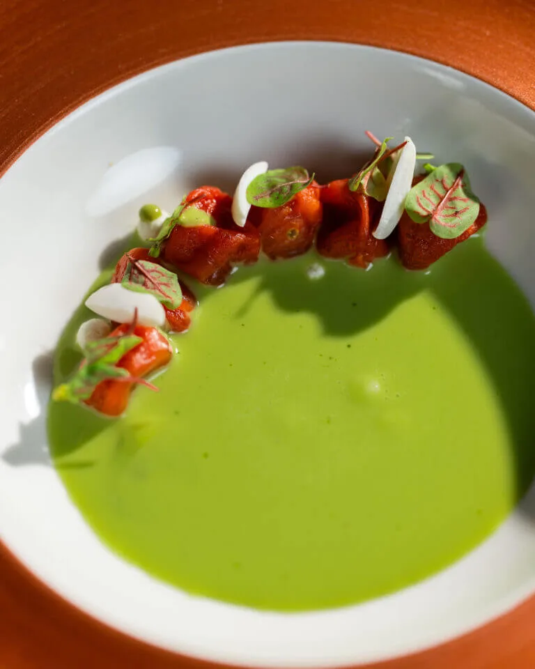 Tomate, hierbas y almendras con requesón de Ivan Cerdeño en El Cigarral del Ángel