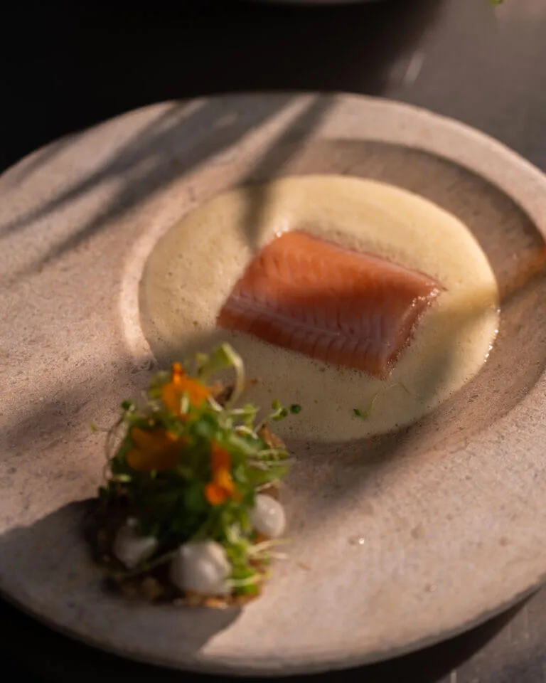 Trucha en su hábitat de Nacho Manzano